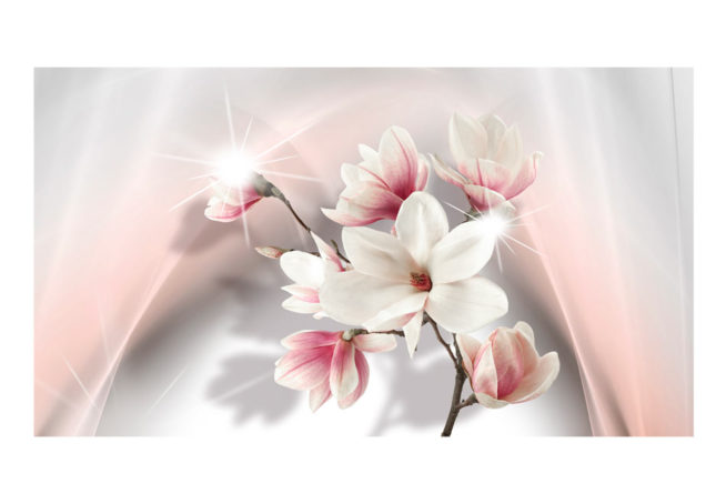 b-C-0118-a-b