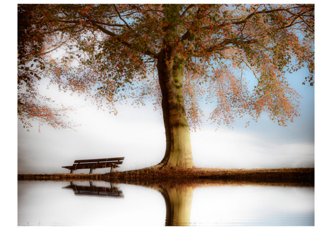Old wooden bench in autumn park
