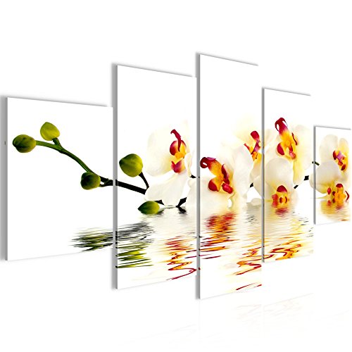 Orchidee Blumen Bild Kunstdruck auf Vlies-Leinwand B167