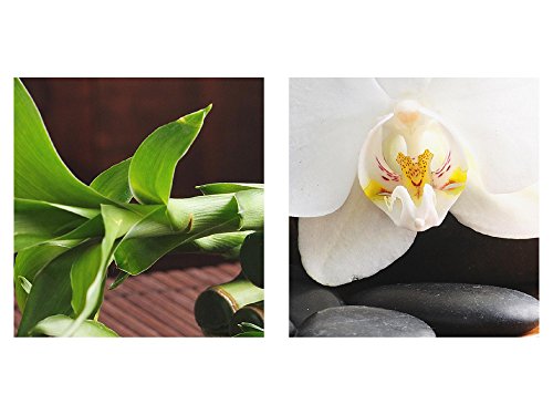 Feng Shui Orchidee Bild Kunstdruck auf Vlies-Leinwand F069