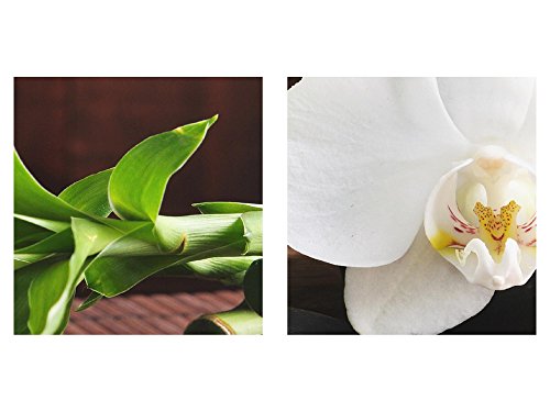 Feng Shui Orchidee Bild Kunstdruck auf Vlies-Leinwand F072