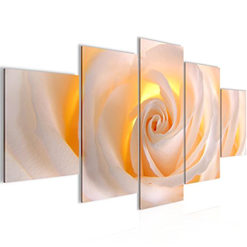 Rose Blumen Bild Kunstdruck auf Vlies-Leinwand B379