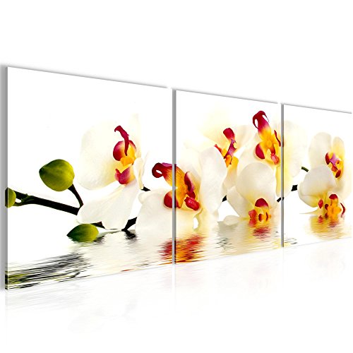 Orchidee Blumen Bild Kunstdruck auf Vlies-Leinwand B352