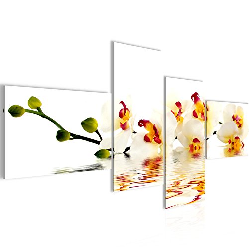 Orchidee Blumen Bild Kunstdruck auf Vlies-Leinwand B165
