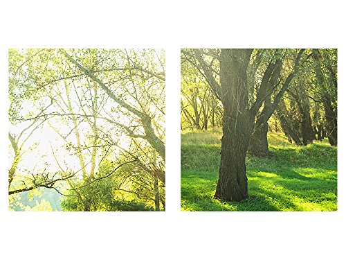 Wald Landschaft Bild Kunstdruck auf Vlies-Leinwand L068