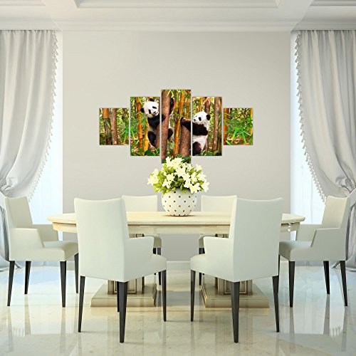 Tiere Panda Bild Kunstdruck auf Vlies-Leinwand S183