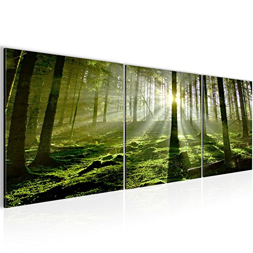Wald Landschaft Bild Kunstdruck auf Vlies-Leinwand L083