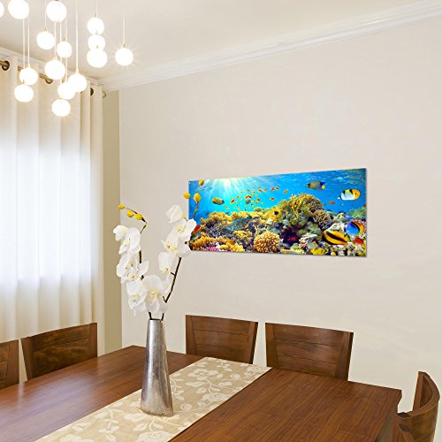 Unterwasser Korallen Bild Kunstdruck auf Vlies-Leinwand S013