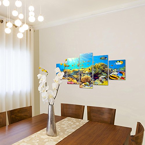 Unterwasser Korallen Bild Kunstdruck auf Vlies-Leinwand S015