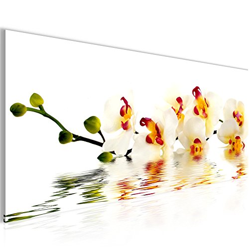 Orchidee Blumen Bild Kunstdruck auf Vlies-Leinwand B062