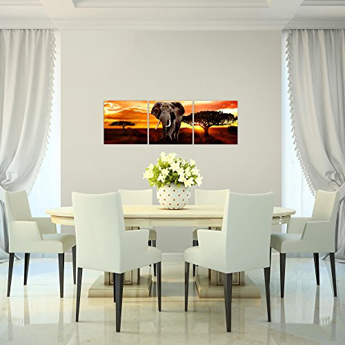 Afrika Elefant Bild Kunstdruck auf Vlies-Leinwand Af004