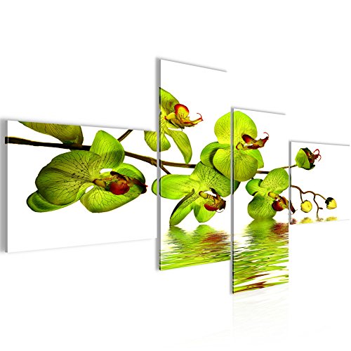 Orchidee Blumen Bild Kunstdruck auf Vlies-Leinwand B153