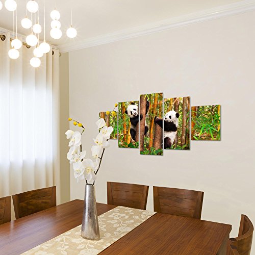 Tiere Panda Bild Kunstdruck auf Vlies-Leinwand S183