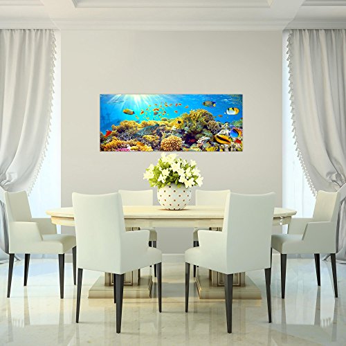 Unterwasser Korallen Bild Kunstdruck auf Vlies-Leinwand S013