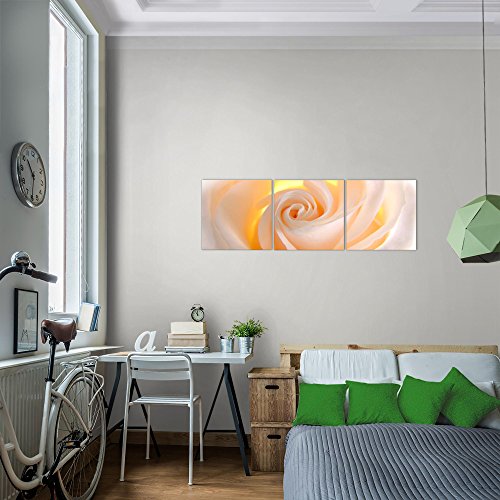 Rose Blumen Bild Kunstdruck auf Vlies-Leinwand B381
