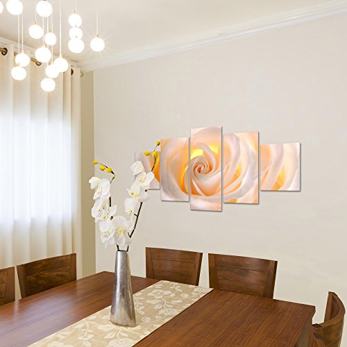 Rose Blumen Bild Kunstdruck auf Vlies-Leinwand B379