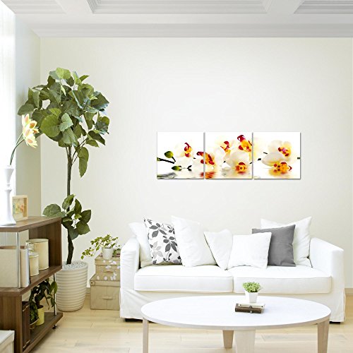 Orchidee Blumen Bild Kunstdruck auf Vlies-Leinwand B352