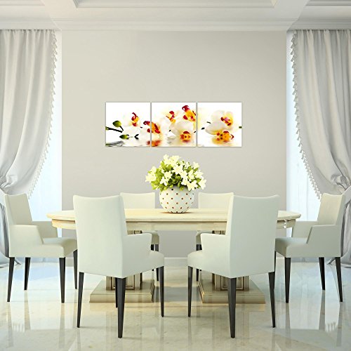 Orchidee Blumen Bild Kunstdruck auf Vlies-Leinwand B352
