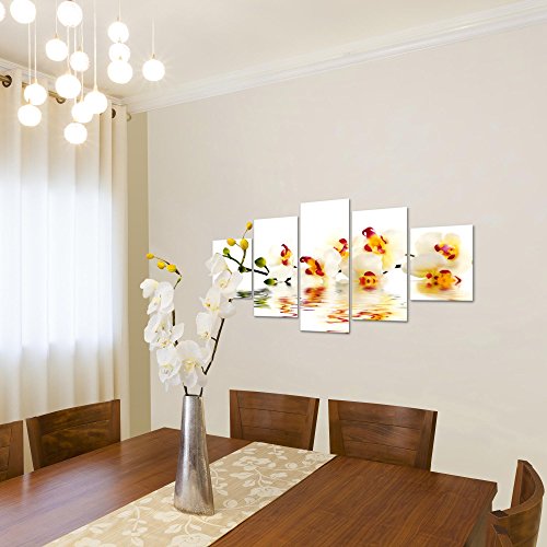 Orchidee Blumen Bild Kunstdruck auf Vlies-Leinwand B167