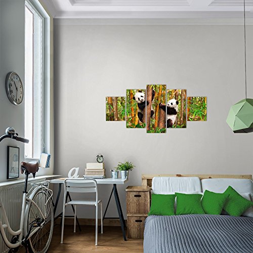 Tiere Panda Bild Kunstdruck auf Vlies-Leinwand S183