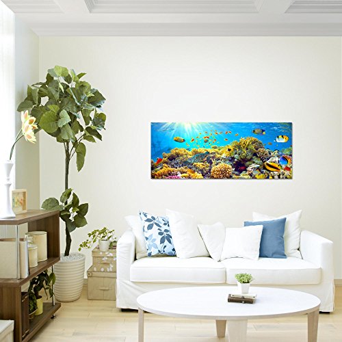 Unterwasser Korallen Bild Kunstdruck auf Vlies-Leinwand S013