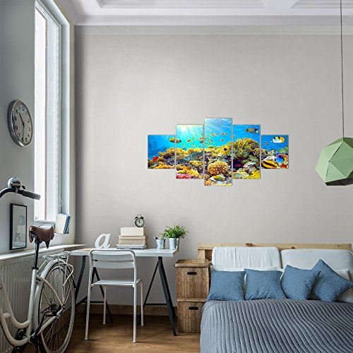 Unterwasser Korallen Bild Kunstdruck auf Vlies-Leinwand S015