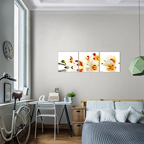 Orchidee Blumen Bild Kunstdruck auf Vlies-Leinwand B352
