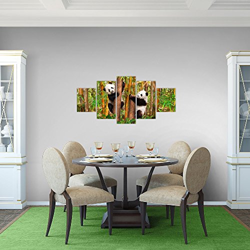Tiere Panda Bild Kunstdruck auf Vlies-Leinwand S183