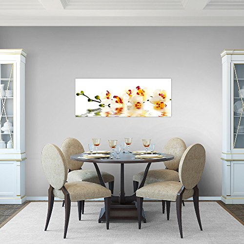 Orchidee Blumen Bild Kunstdruck auf Vlies-Leinwand B062