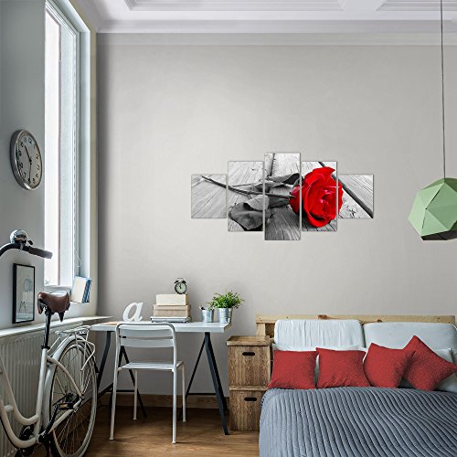 Rose Blumen Bild Kunstdruck auf Vlies-Leinwand B392