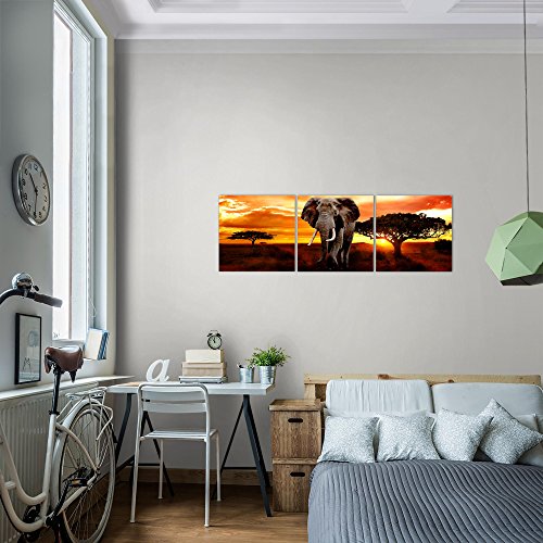 Afrika Elefant Bild Kunstdruck auf Vlies-Leinwand Af004