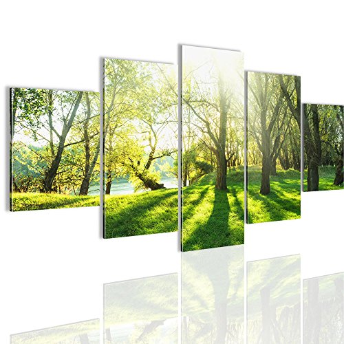 Wald Landschaft Bild Kunstdruck auf Vlies-Leinwand L068