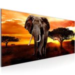 Afrika Elefant Bild Kunstdruck auf Vlies-Leinwand Af035