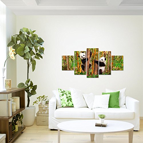 Tiere Panda Bild Kunstdruck auf Vlies-Leinwand S183
