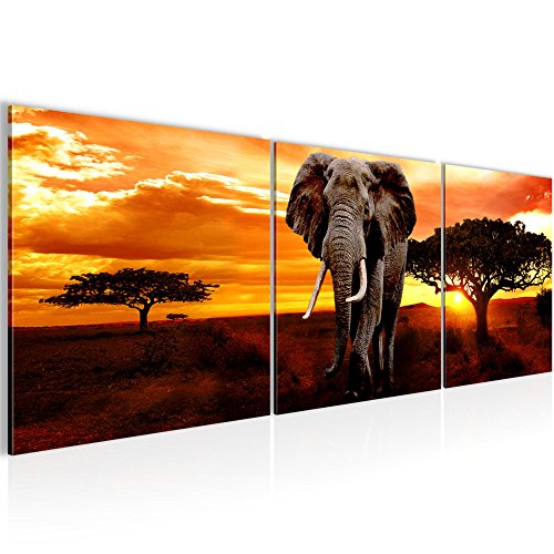 Afrika Elefant Bild Kunstdruck auf Vlies-Leinwand Af004