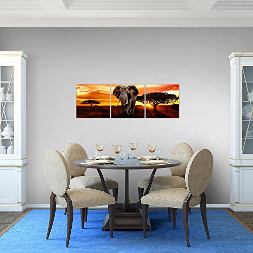 Afrika Elefant Bild Kunstdruck auf Vlies-Leinwand Af004