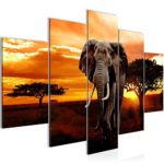 Afrika Elefant Bild Kunstdruck auf Vlies-Leinwand Af036