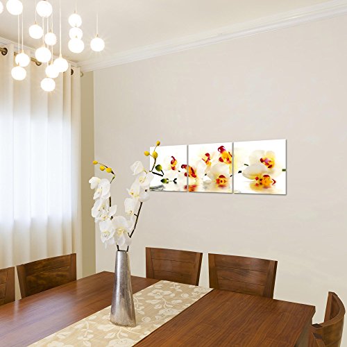 Orchidee Blumen Bild Kunstdruck auf Vlies-Leinwand B352