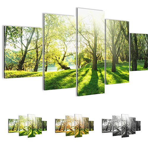 Wald Landschaft Bild Kunstdruck auf Vlies-Leinwand L068