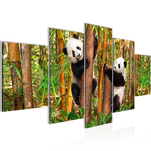 Tiere Panda Bild Kunstdruck auf Vlies-Leinwand S183