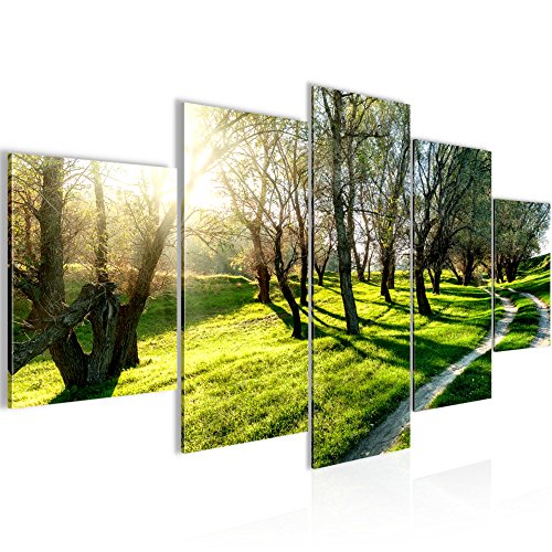 Wald Landschaft Bild Kunstdruck auf Vlies-Leinwand L092