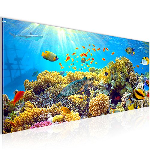 Unterwasser Korallen Bild Kunstdruck auf Vlies-Leinwand S013
